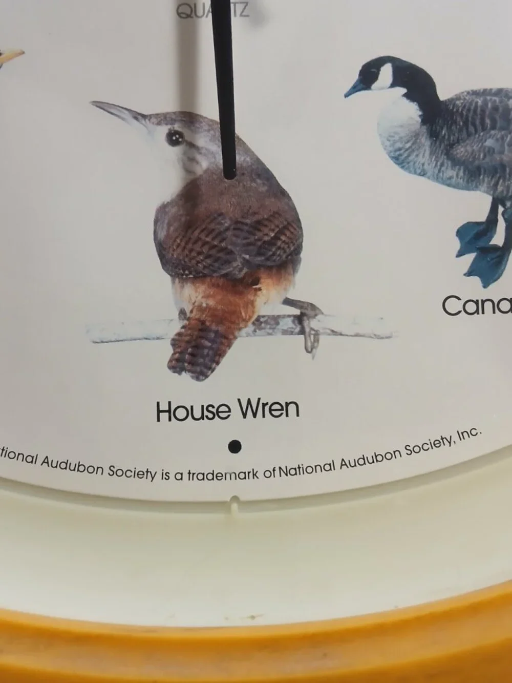 House Wren Singing Bird Clock